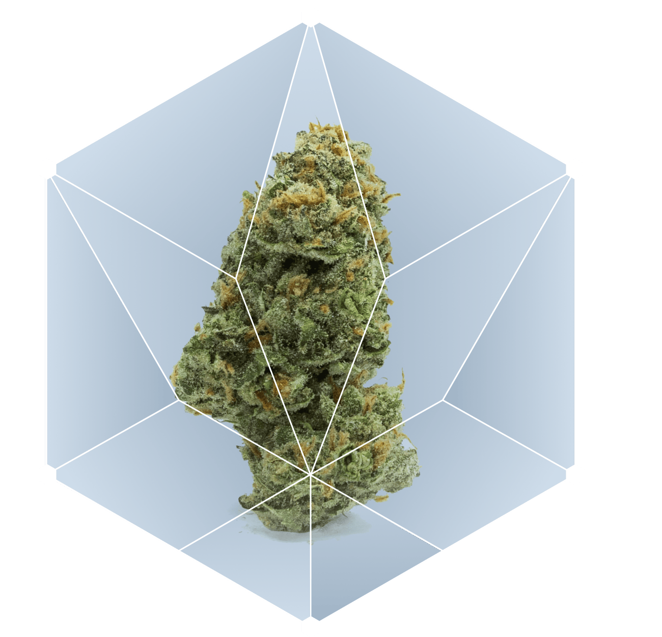 Cannprisma Research Development_